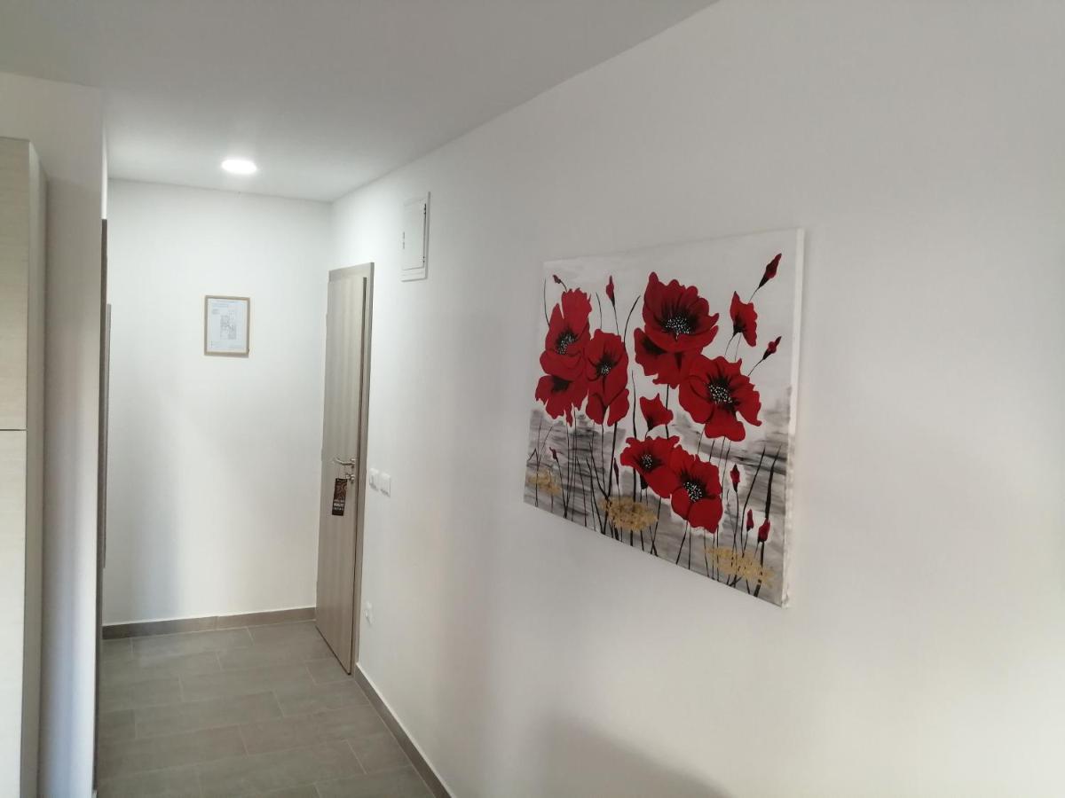 Studio Istra 罗维尼 外观 照片